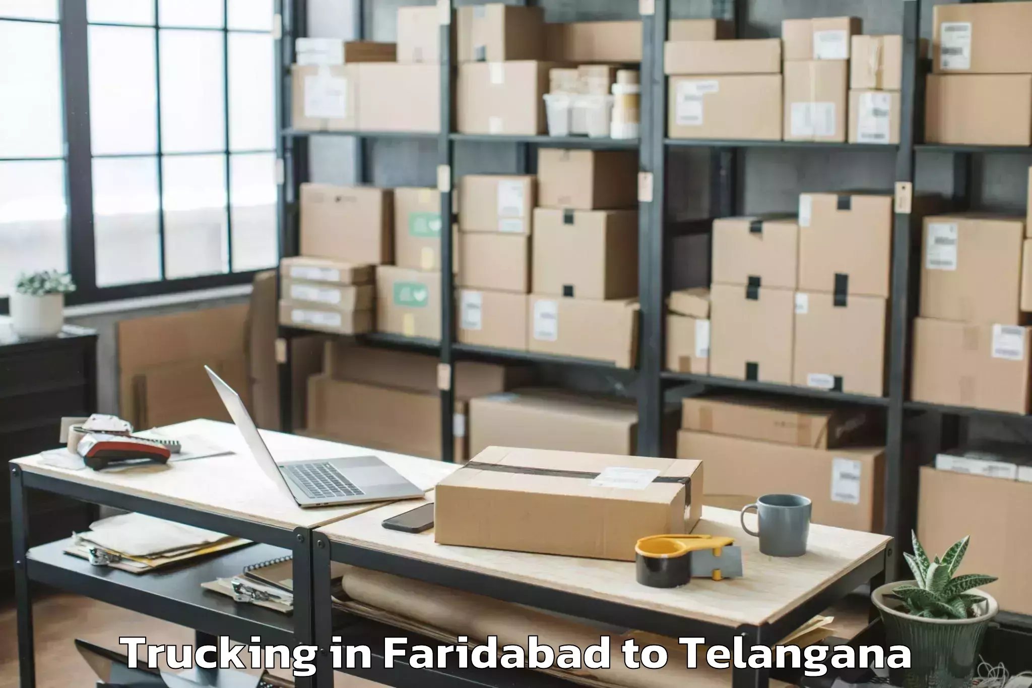 Book Faridabad to Tekmal Trucking Online